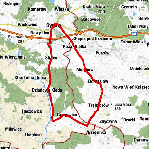 Syców - Kościół Apostołów Jana i Piotra - Bielawiec