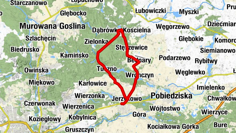 Jerzykowo - Wronczyn - Kaplica pomocnicza - Kościół pw. Najświętszej Maryi Panny Wniebowziętej