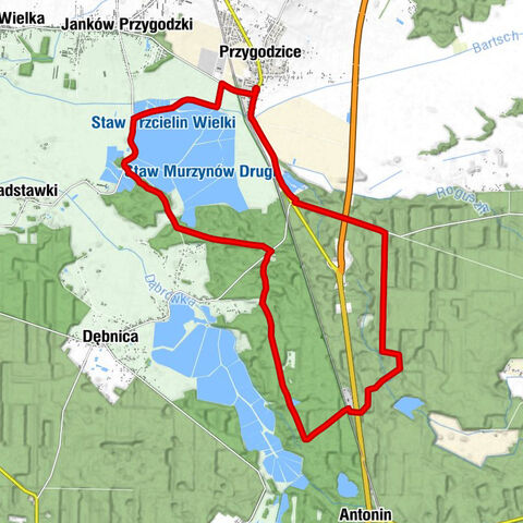 powiat ostrowski - Trzcieliny - Wigwam - Górecznik