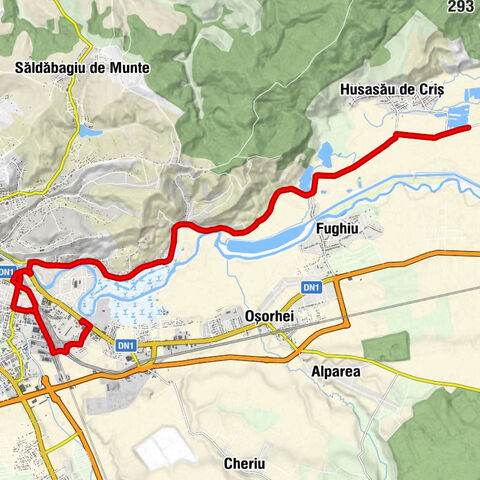 Biserica Ortodoxă - Seleuș - Oradea - Biserica Podgoria