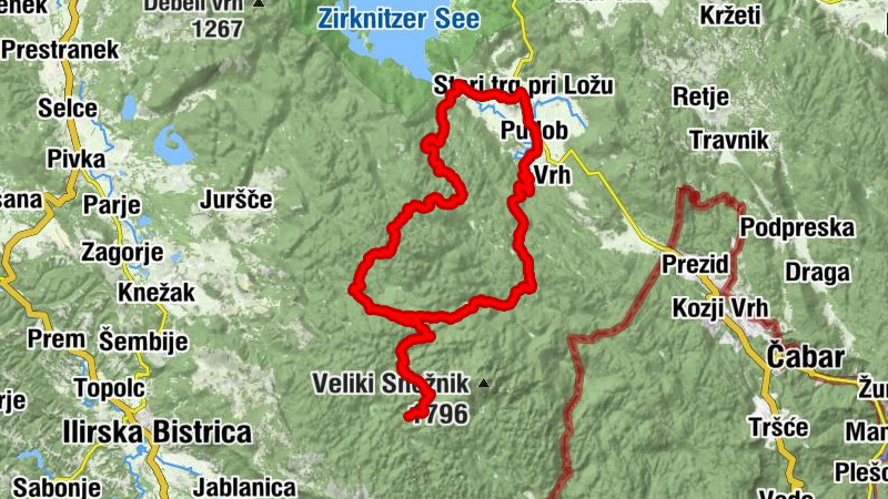 Carte
