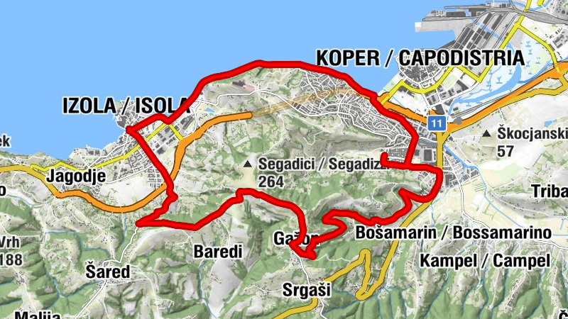 Carte
