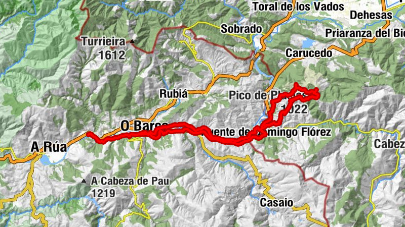 Carte