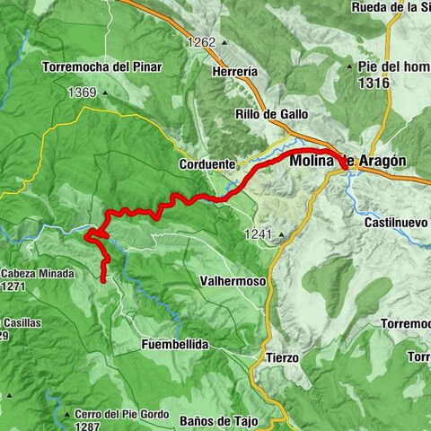 Molina de Aragón - El Huso - La Hoz - Lebrancón