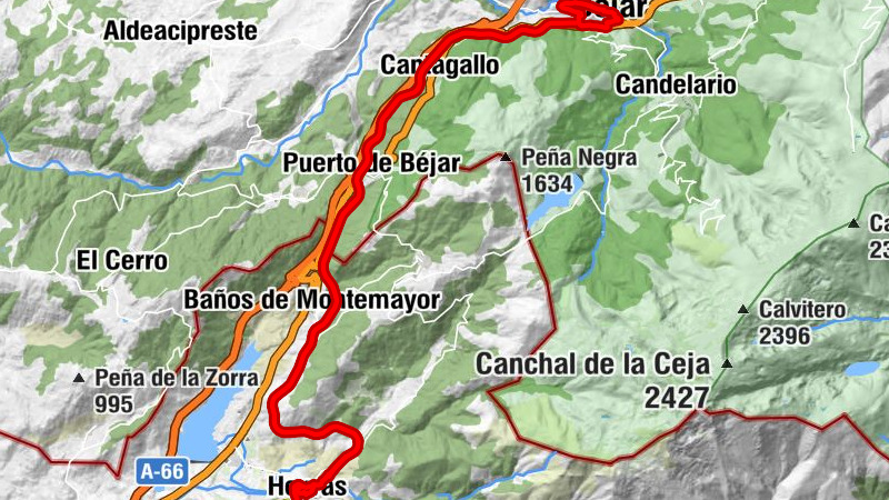 Carte