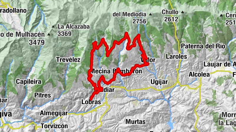 Carte