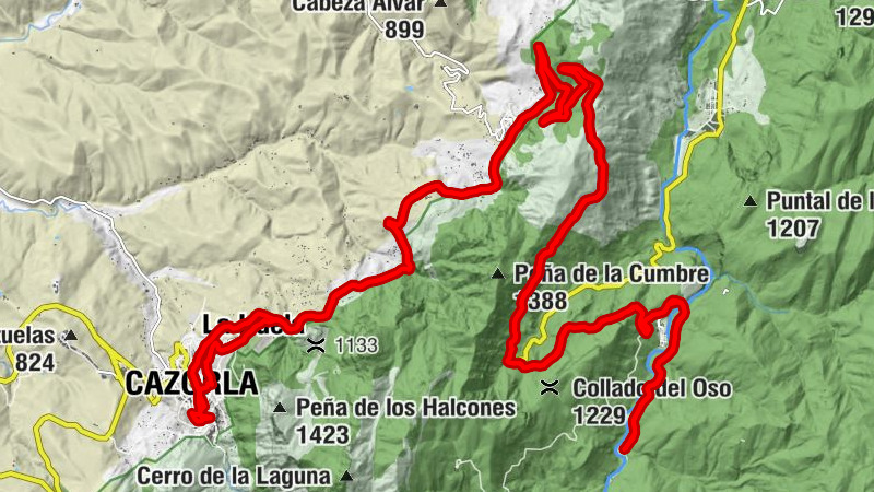 Carte