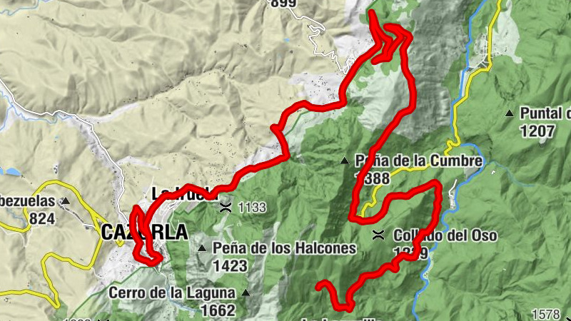 Carte