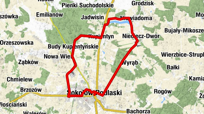 Sokołów Podlaski - Kościół pw. Niepokalanego Poczęcia Najświętszej Maryi Panny - Syndykat