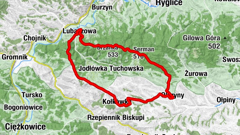 Kaplica cmentarna - Brzanka - Olszyny