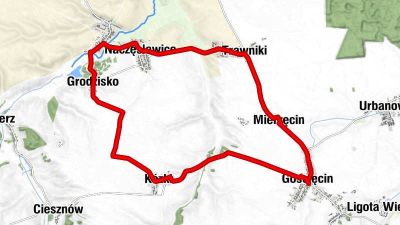 Gościęcin - Kościół pątniczy pw. św. Brykcjusza - Kózki - Kościół Matki Bożej Dobrej Rady