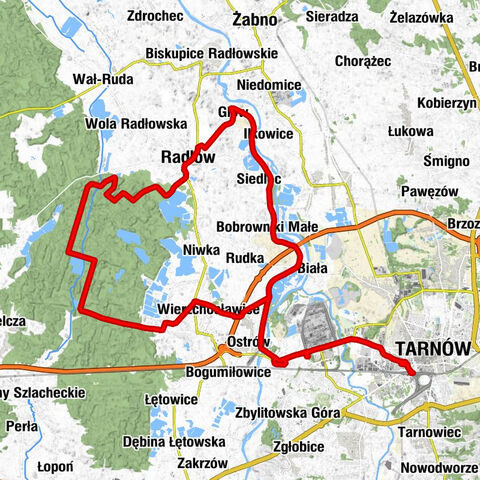 Tarnów - Kościół św. Jana Chrzciciela w Radłowie - Radłów