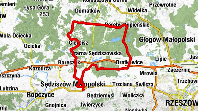 Przedmieście Sędziszowskie - Sędziszów Małopolski - Kościół pw. św. Jana Chrzciciela - Krzywa