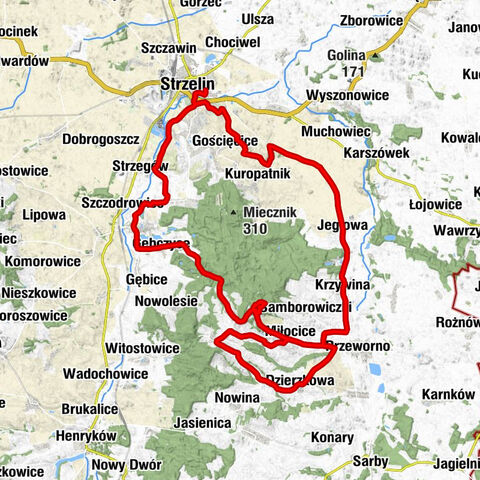 Strzelin - Kościół Matki Chrystusa i św. Jana Apostoła i Ewangelisty - Kościół pw. św. Antoniego Padewskiego - Gromnik