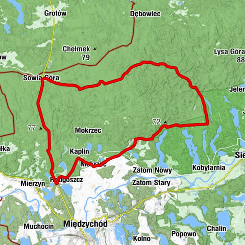 powiat międzychodzki - Czapliniec - Sowia Góra - Radgoszcz