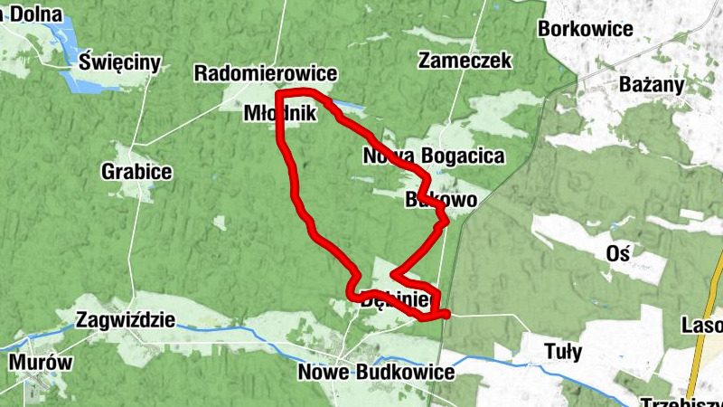 Dębiniec - Kościół Matki Bożej Królowej i św. Antoniego - Bukowo