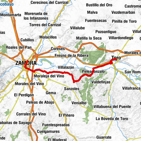 Toro - Iglesia de San Salvador de los Caballeros - Ermita de Nuestra Señora del Canto - Zamora