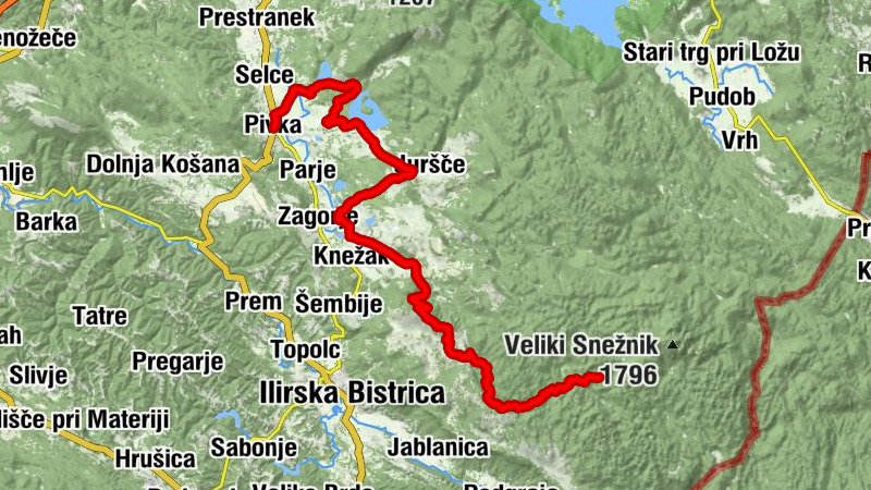 Carte