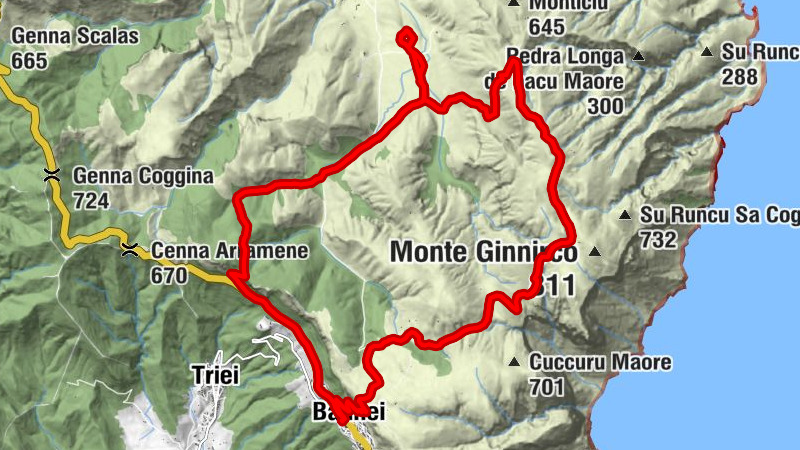 Carte