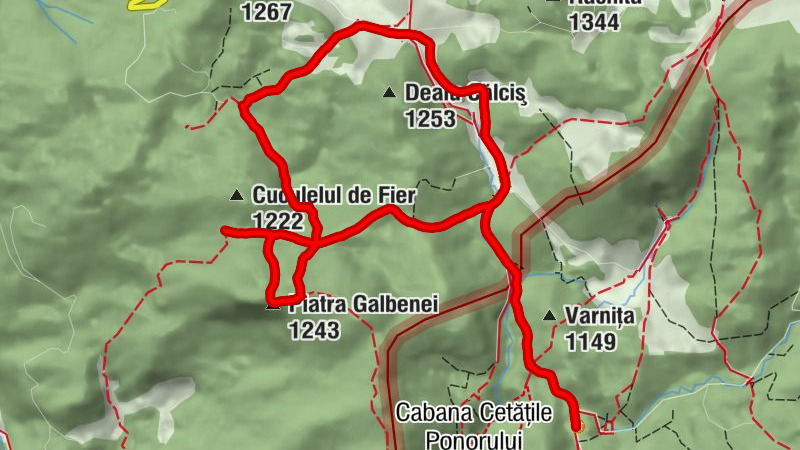 Carte