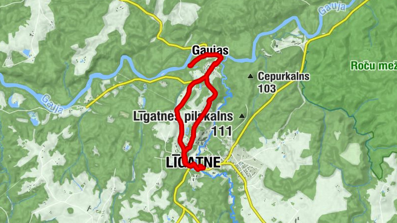 Carte
