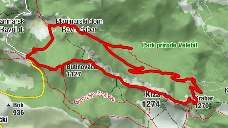 Dabarska kosa - Kiza - Kuk od pećica - Grabar