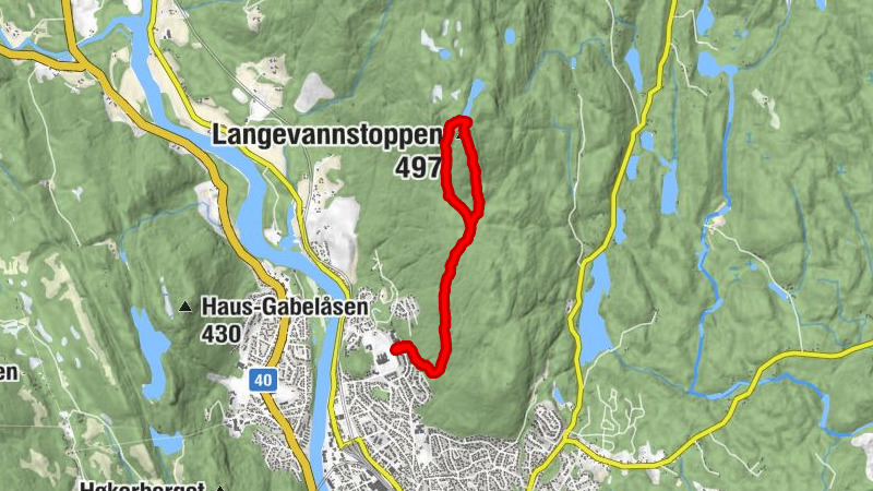 Kongsberg - Fugleplassen - Langevannstoppen