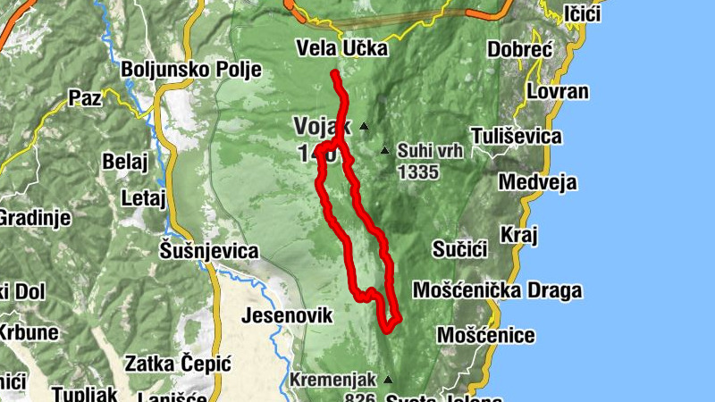 Carte