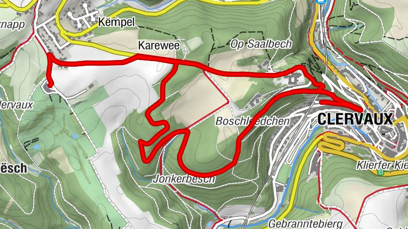 Carte
