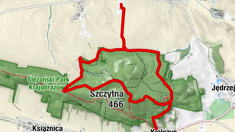 Kiełczyn - Kościół pw. Narodzenia Najświętszej Maryii Panny - Szczytna