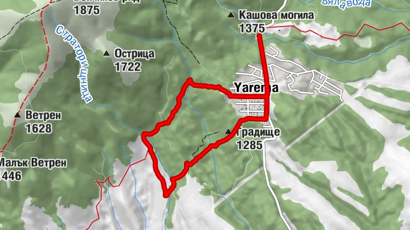 Carte