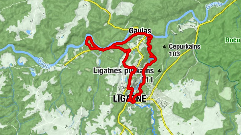 Carte