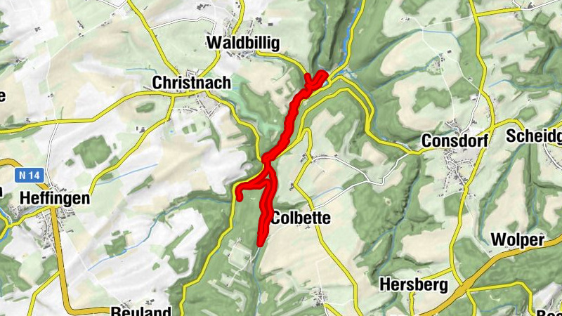 Carte