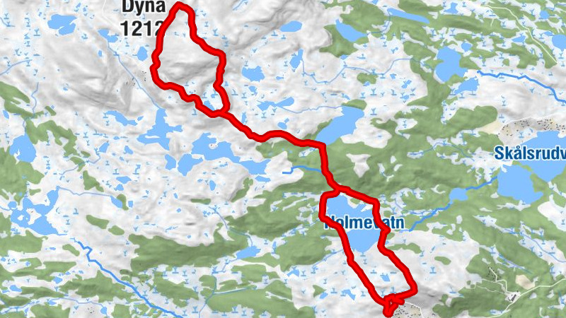 Ål - Dyna (1212) - Dyna - Storebrenna