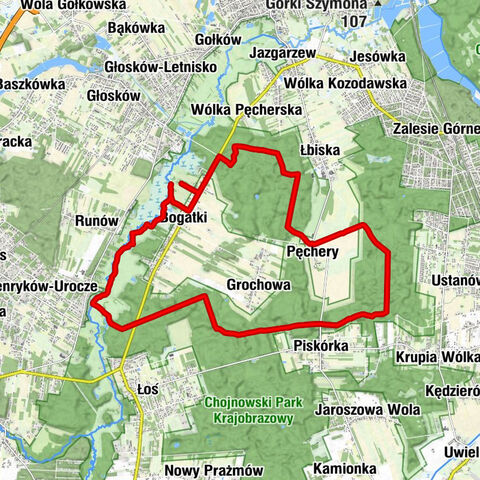 Pęchery - Bogatki - Górka