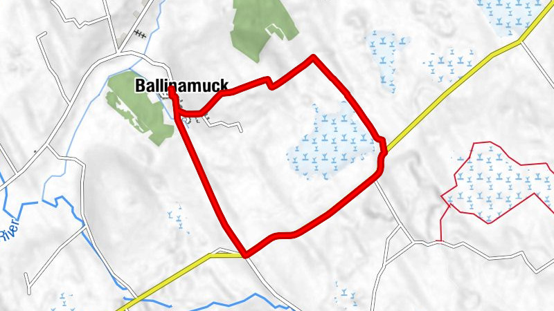 Ballinamuck - St. Patrick's
