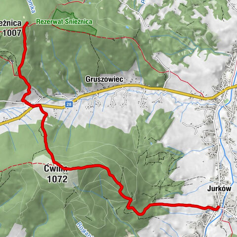 Śliwówka - Ćwilin - Droga Krzyżowa stacja XI - Śnieżnica