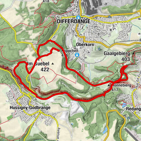 Sanem - Metzerbierg - Ronnebierg - Köppchen