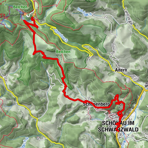 Carte