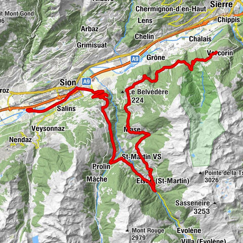 Carte