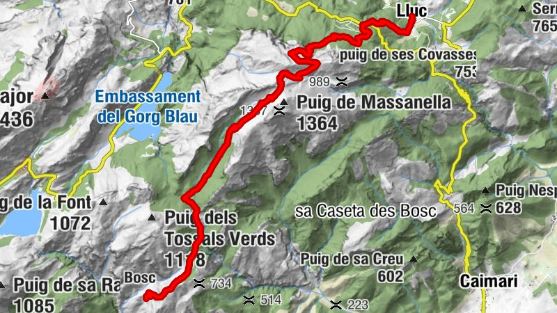 Carte