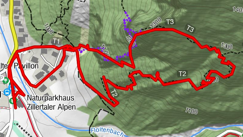 Carte