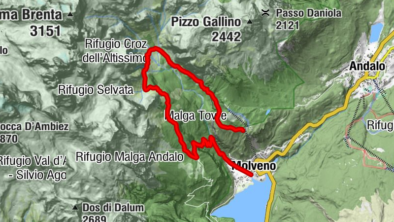 Carte