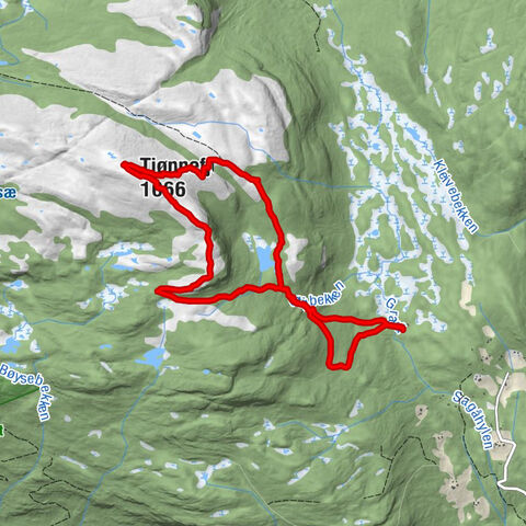 Tjønnefjel, Fyresdal Noorwegen