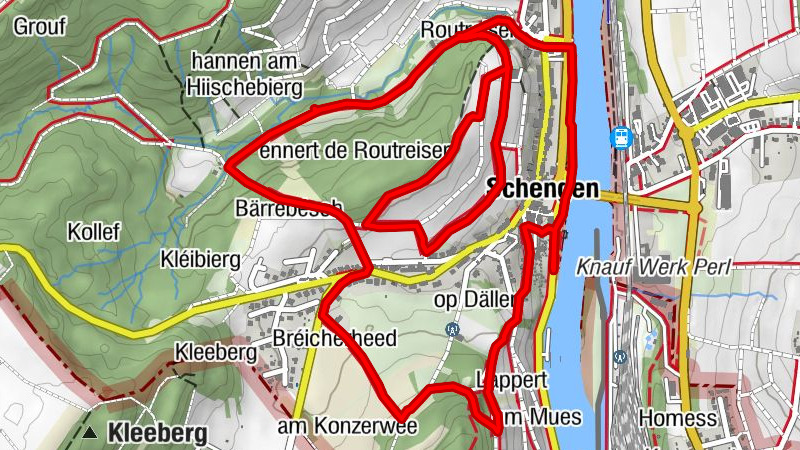 Schengen autopedestre