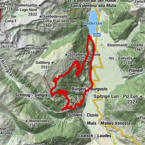 Carte