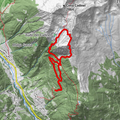Carte