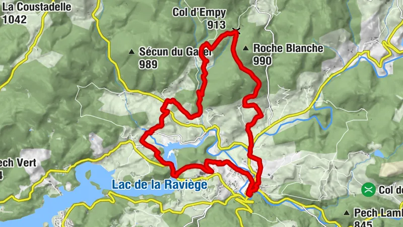 TRAIL EN FORÊT SALVETOISE