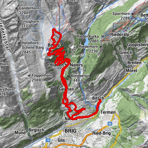 Carte