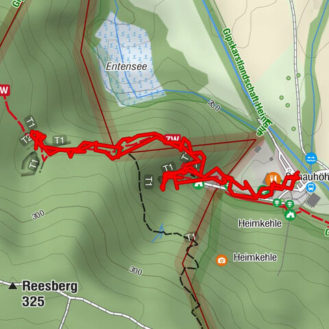 Reesbergdoline Heimkehle
